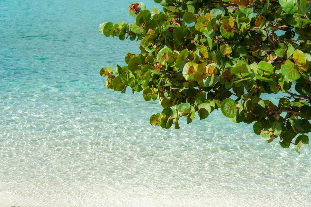 Grand Case Beach Club Eksteriør billede